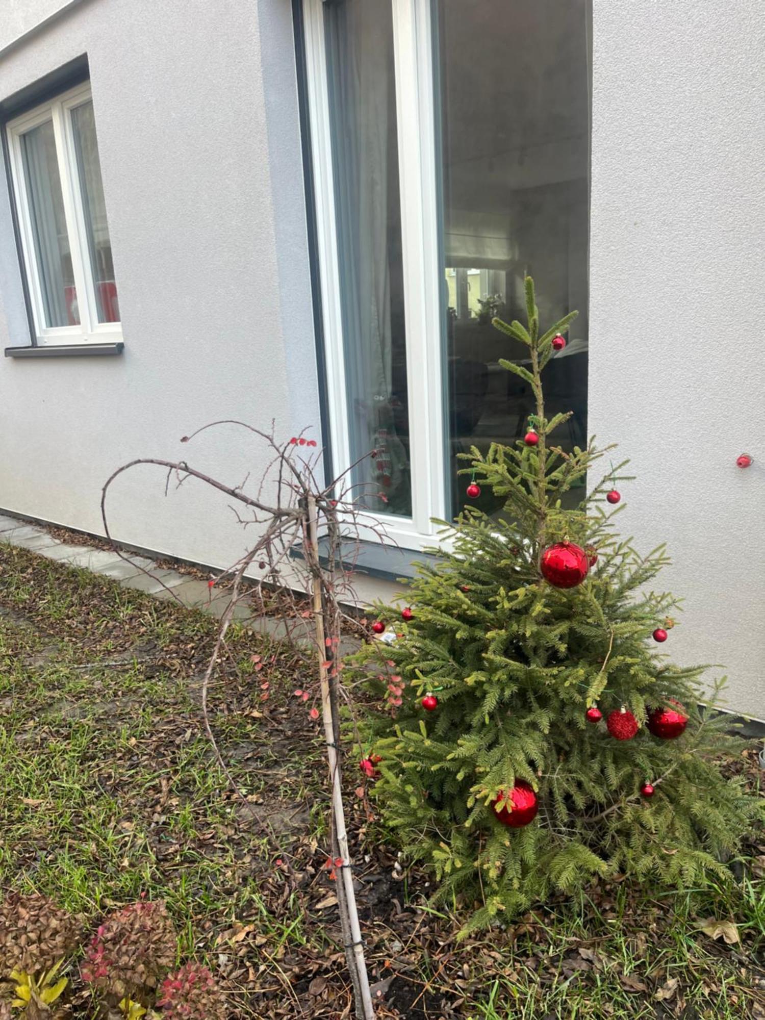 Apartament Kaszmirowy Bielsko-Biala Exterior foto