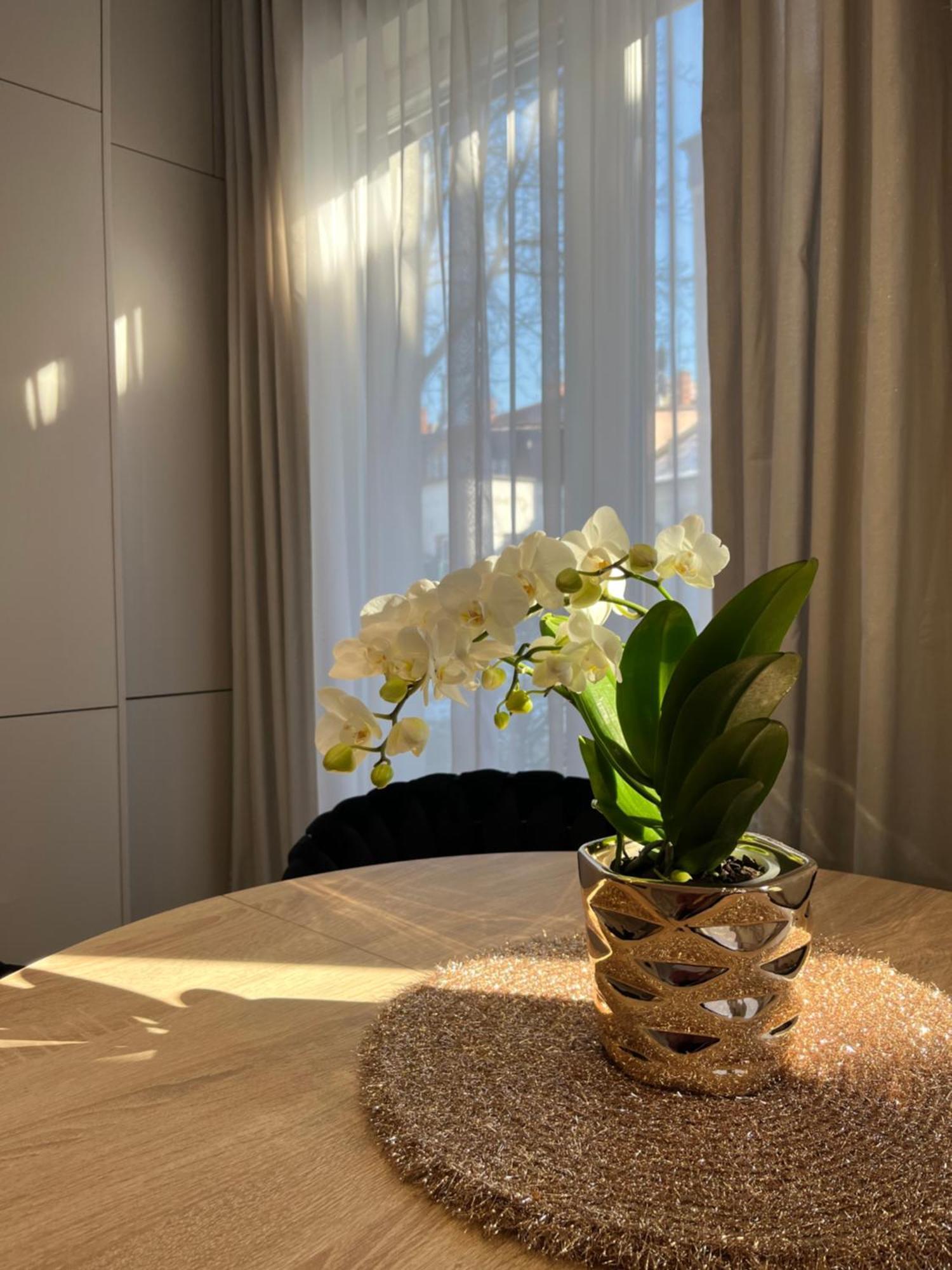 Apartament Kaszmirowy Bielsko-Biala Exterior foto